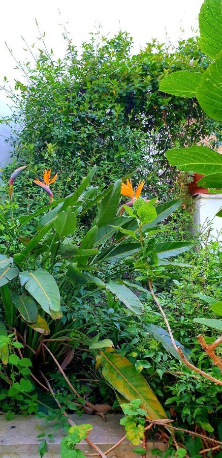 Garden House Pompei Vesuvio Villa Trecase Exterior photo