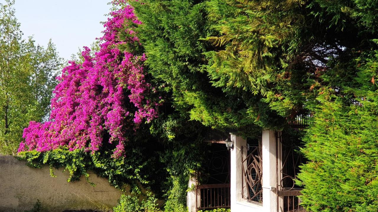 Garden House Pompei Vesuvio Villa Trecase Exterior photo