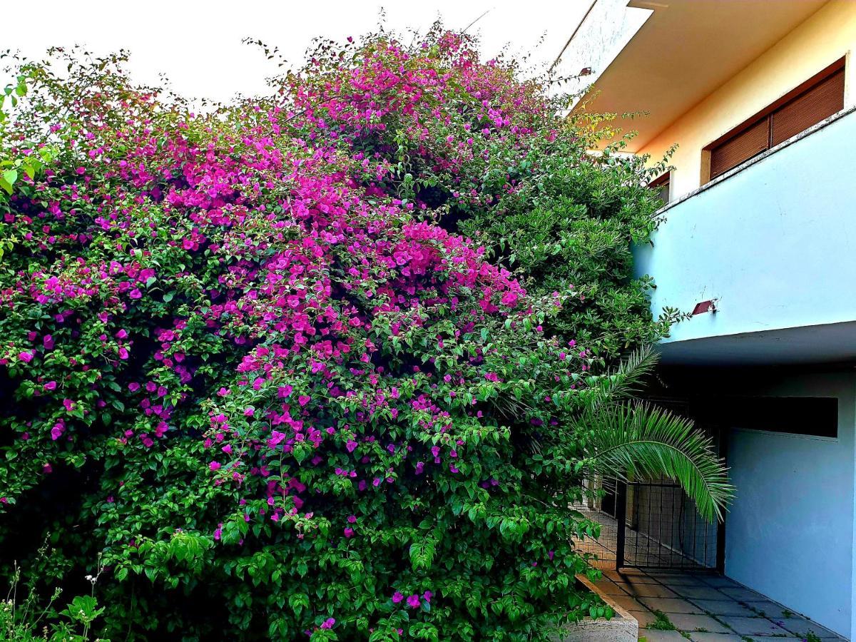 Garden House Pompei Vesuvio Villa Trecase Exterior photo