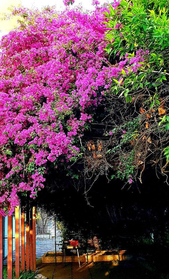 Garden House Pompei Vesuvio Villa Trecase Exterior photo