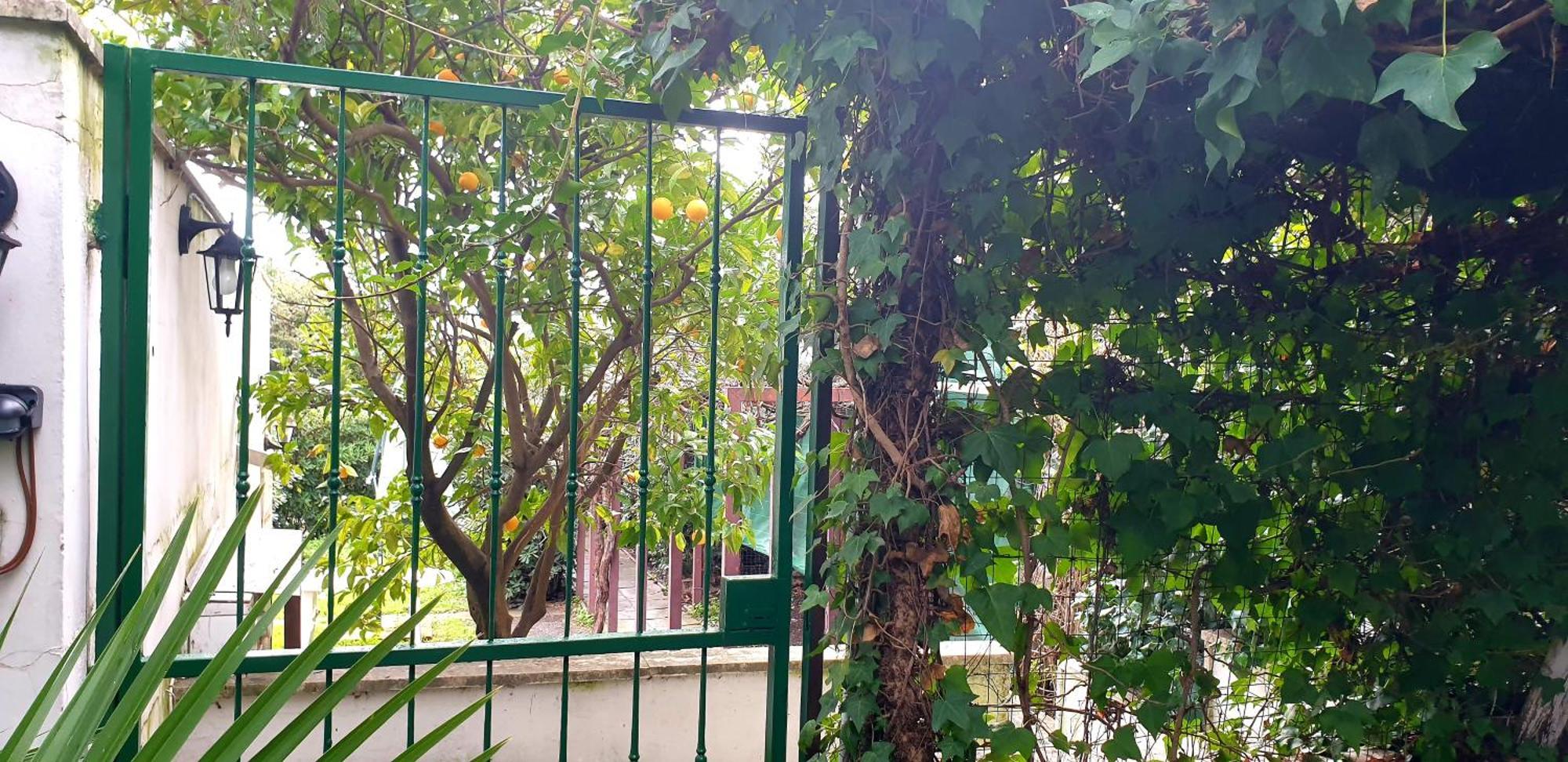 Garden House Pompei Vesuvio Villa Trecase Room photo