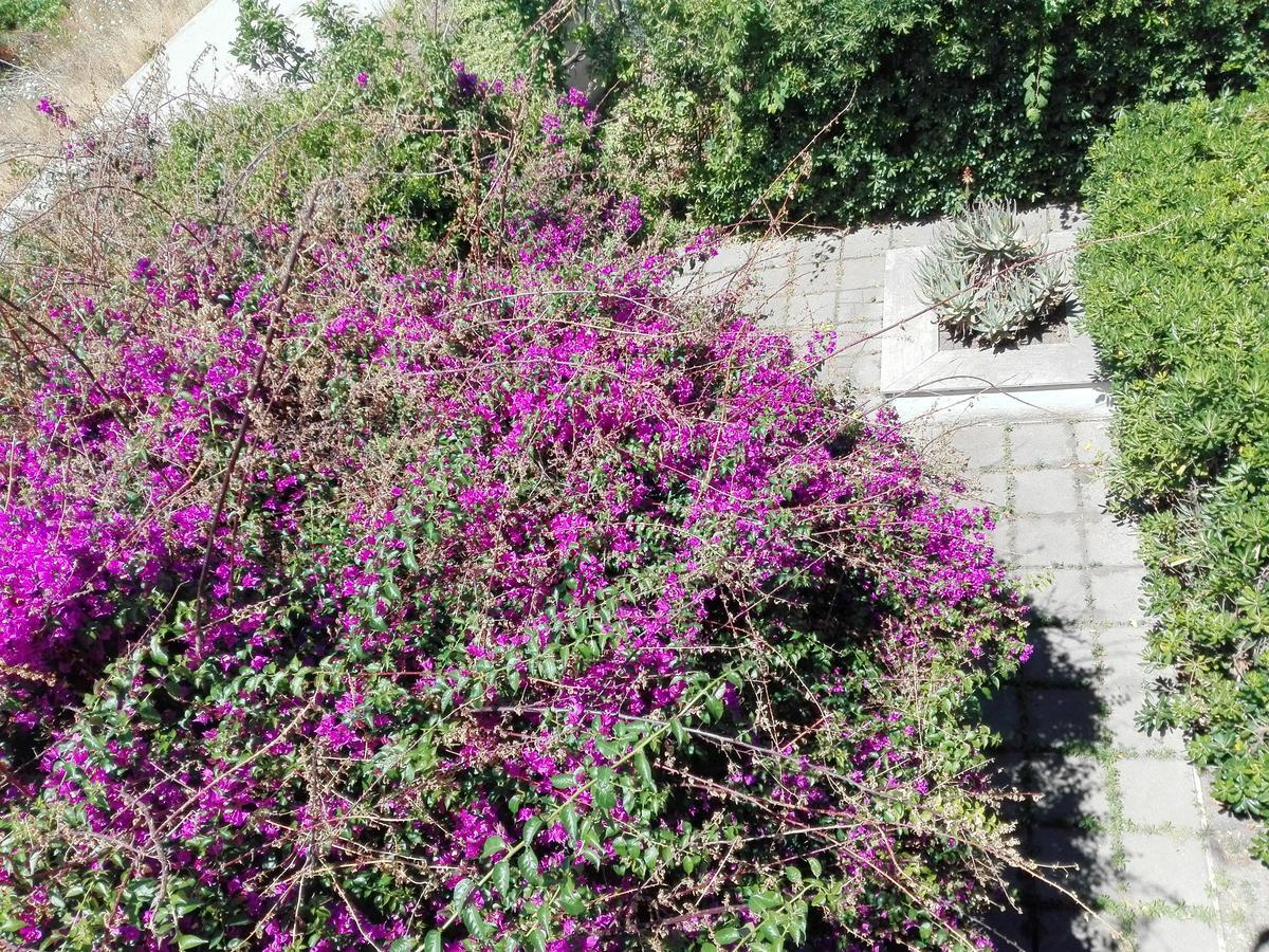 Garden House Pompei Vesuvio Villa Trecase Exterior photo